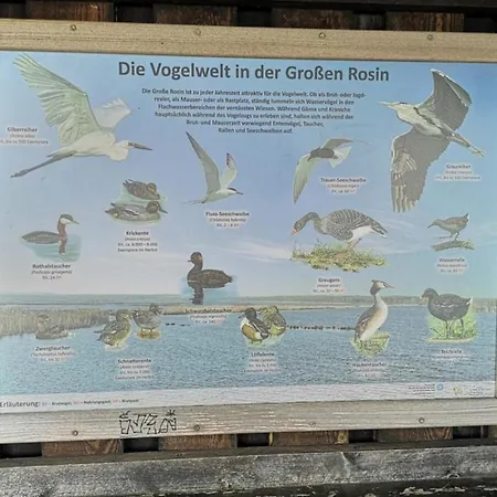 Sommerhaus Semesterbostad *