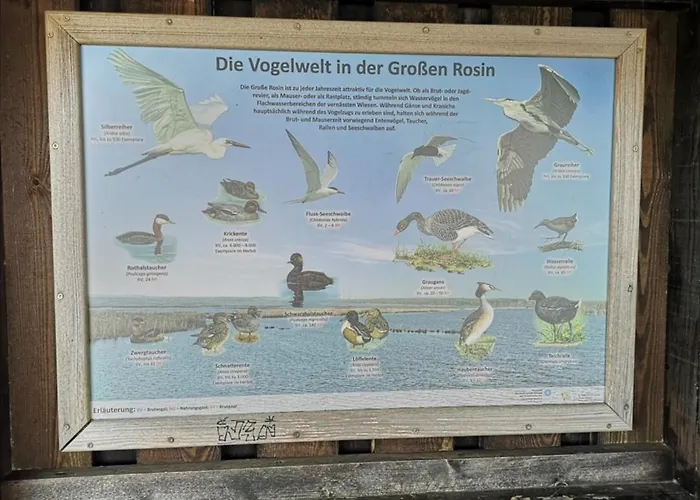 Sommerhaus Semesterbostad *